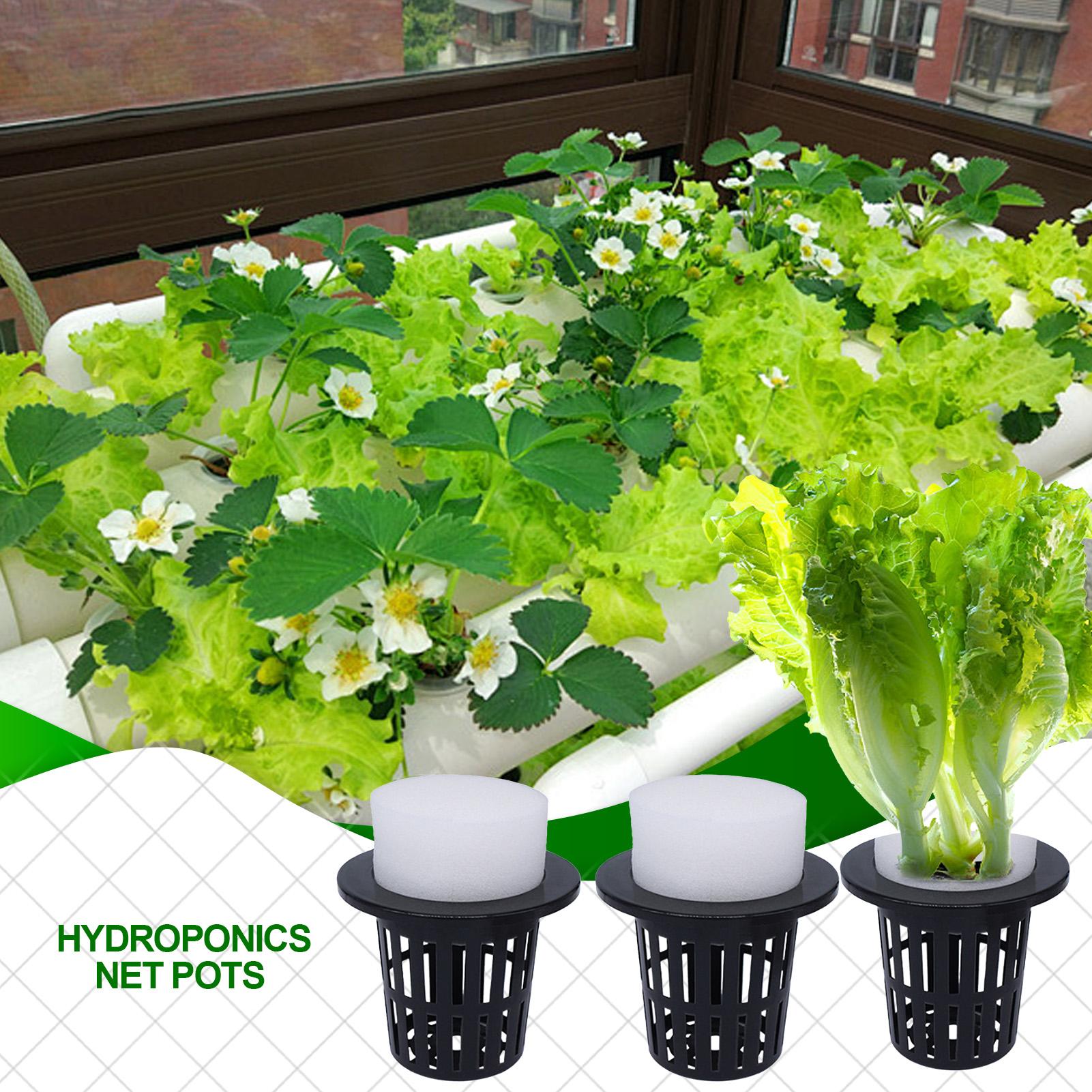 Net Pots For Hydroponics Hydro - đánh giá và giá Urban Farming Indoor